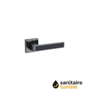 ADEN 2 FUME NOIR POIGNEE SUR ROSACE PT