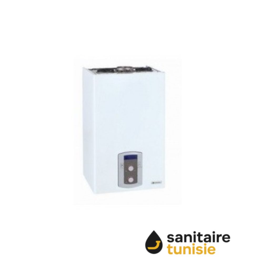 CHAUDIERE 1x65 FF TALIA GREEN + KIT VENTOUSE