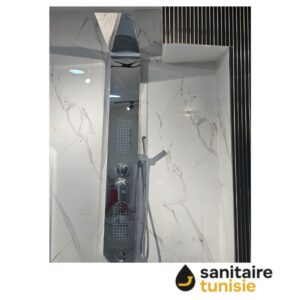 PANNEAU DE DOUCHE CHROMÉ