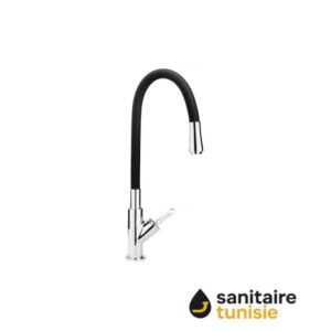 NABEUL MIT EVIER A BEC NOIR 06DDA13