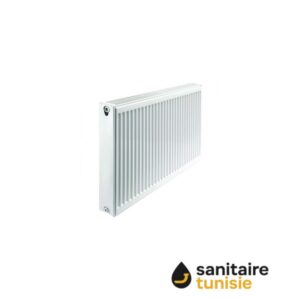 RAD T22-600-1100 1818 WATT DT50