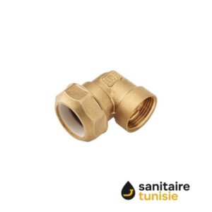 COUDE BARGATAIRE LAITON FEMELLE