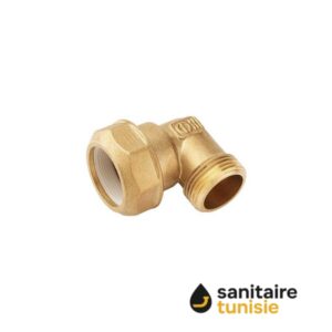 COUDE BARGATAIRE LAITON MAL