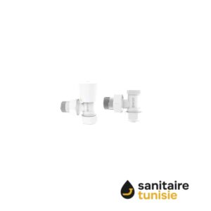 COUPLE RADIATEUR ARCO PEX BLANC (2097)